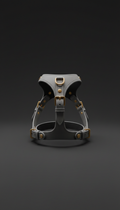 Porcelain Mist Leather Harness With Gilded Sand Accents